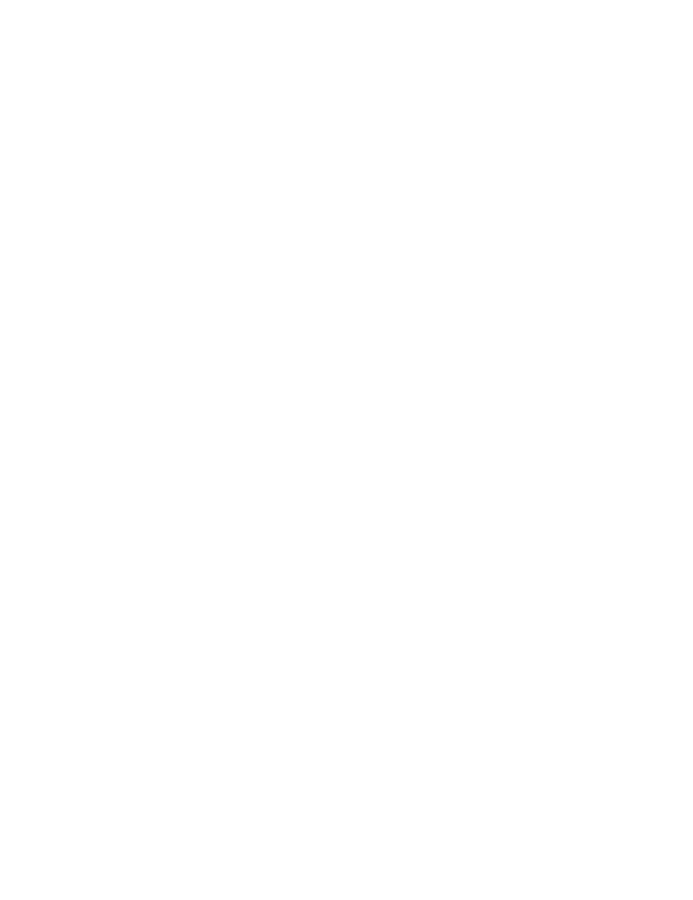 Lower Providence Youth Archery badge